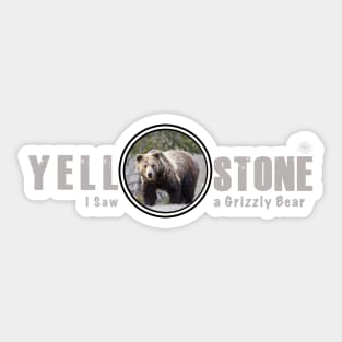 I Saw a Grizzly Bear, Yellowstone National Park Sticker